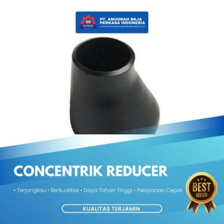 Concentrik Reducer